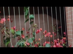 발코니 보이지 않는 그릴 아동 보호 316 스테인레스 강