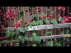 현대 사회 디자인 발코니 펀칭 서비스와 부하 용량 100kg의 보이지 않는 격자