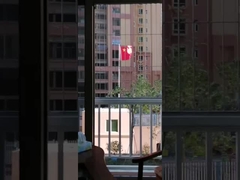 316 스테인레스 스틸: 침입자 경보용 보이지 않는 격자 발코니