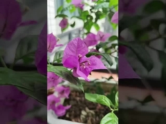 316 스테인레스 스틸 케이블 발코니 보이지 않는 그릴 100kg 부하 용량