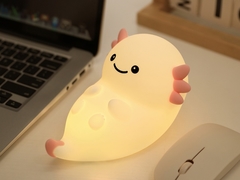 USB 충전 및 배터리 전원 소스를 갖춘 다기능 야간 램프