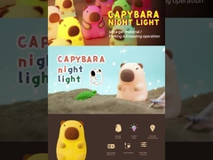 귀여운 밤빛 램프