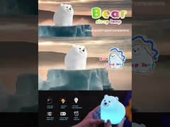 귀여운 밤빛 램프