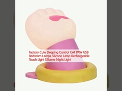 공장 귀여운 잠자리 제어 CAT PAW USB 침실 램프