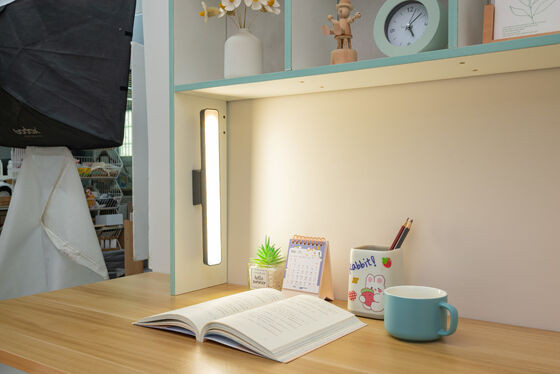 세밀한 검사 및 보증 작업에 색 온도 3000-6500K를 제공하는 자기 유인 램프